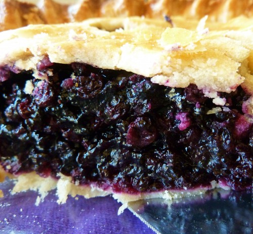 Wild Blueberry Pie | The Triangle Plate