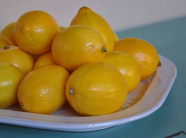 Meyer Lemons